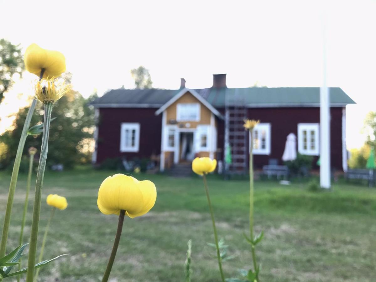 Paeivin Pirtti - Pirttikahvila Ja B&B Luosto Exterior foto